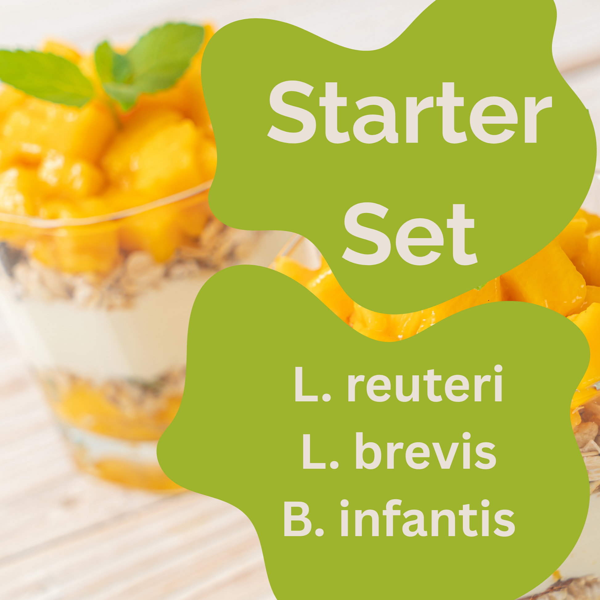 Starter-Set „Neuro Gut" | L. reuteri, L. brevis, B. infantis-Joghurt