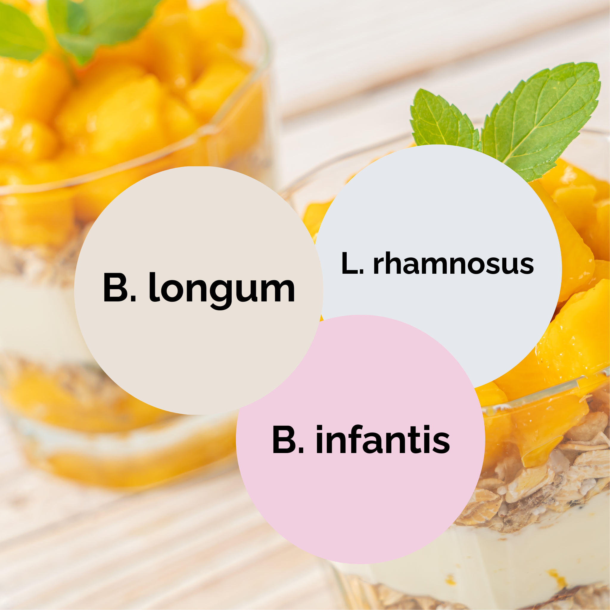 L. rhamnosus + B. infantis + B. longum | Yoğurt Başlatıcı Seti | Başlatıcı Kültürler | 3'lü Paket